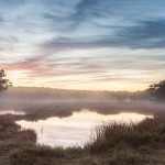 Early Morning Mist